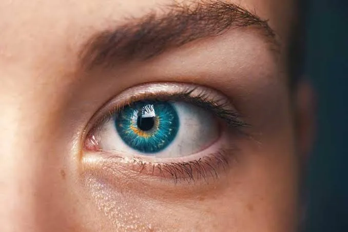 Alcon Dailies and Air Optix contact lenses